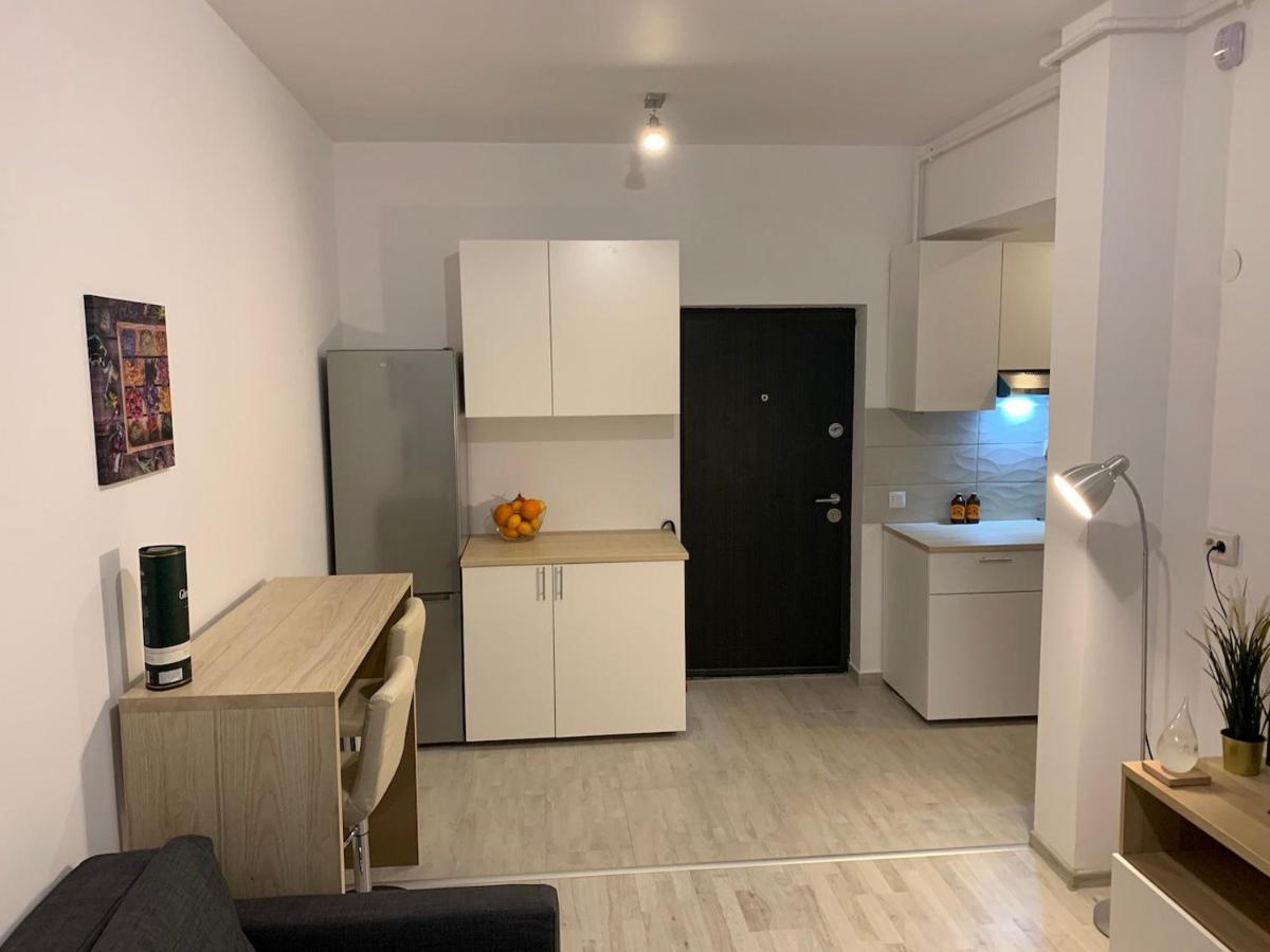 Ray Luxury Apartment Close To Presidential Palace Bukarest Exterior foto